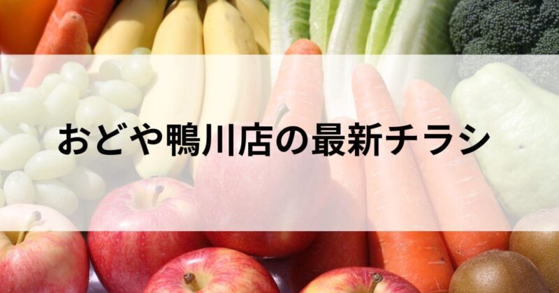 おどや鴨川店の最新チラシ【2024年7月9日(火)～15日(月)】